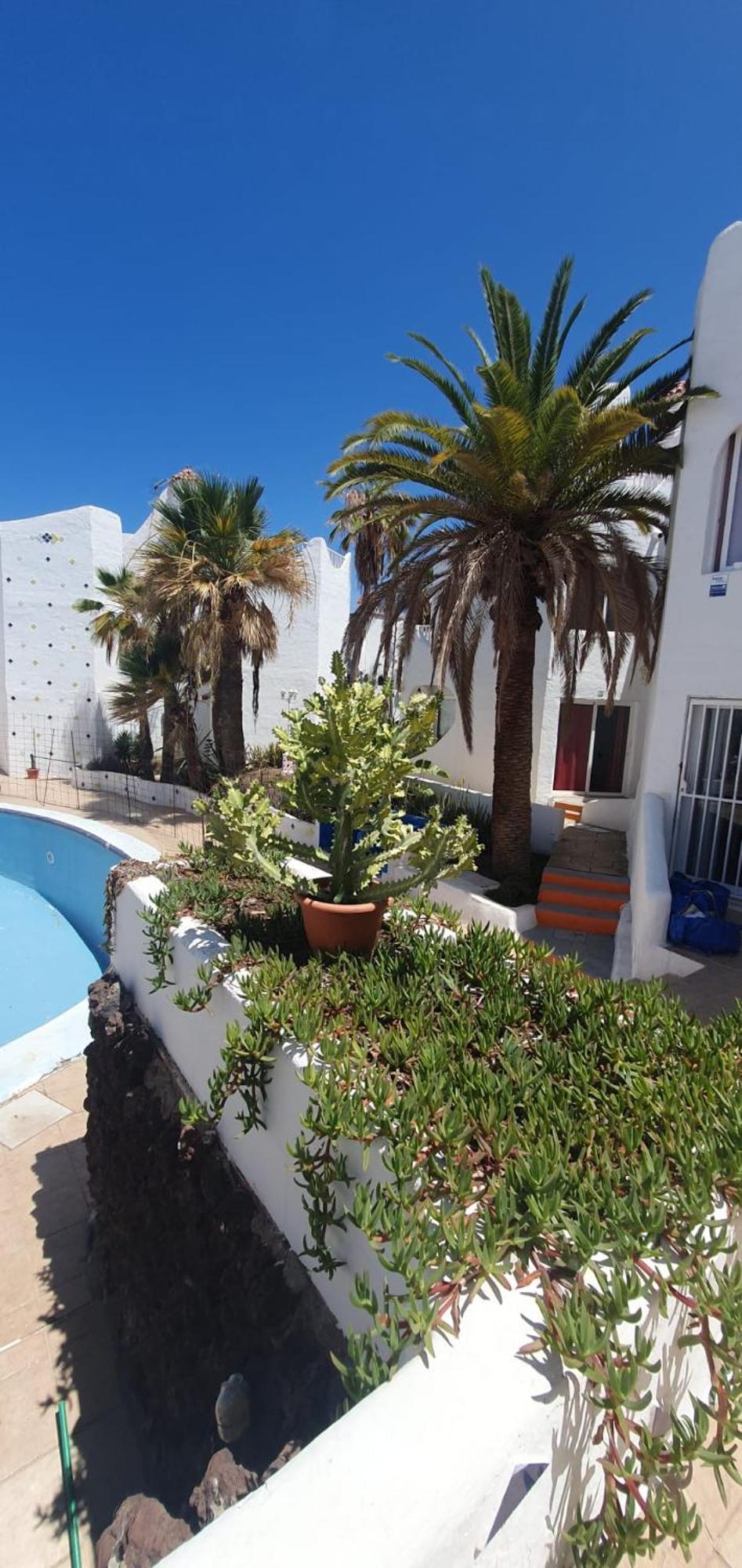Wonderful White Appartament In Las Tortugas Playa de las Americas (Tenerife) Exterior foto