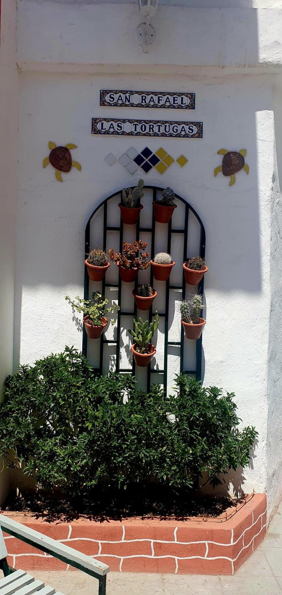 Wonderful White Appartament In Las Tortugas Playa de las Americas (Tenerife) Exterior foto