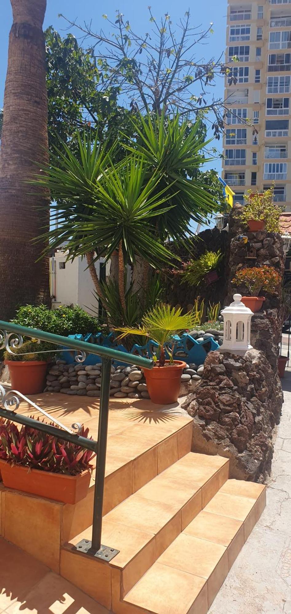 Wonderful White Appartament In Las Tortugas Playa de las Americas (Tenerife) Exterior foto