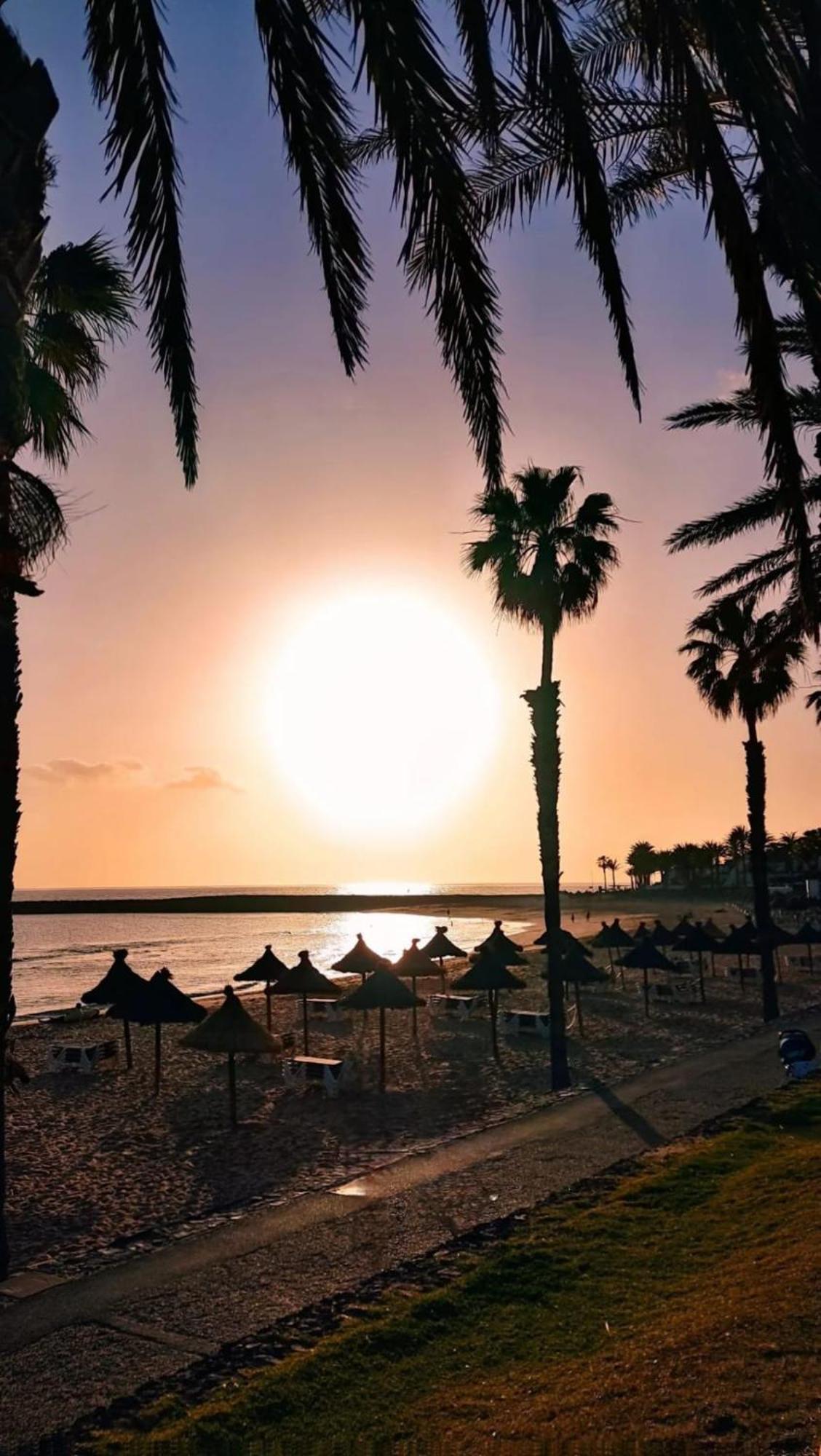 Wonderful White Appartament In Las Tortugas Playa de las Americas (Tenerife) Exterior foto